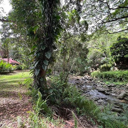 Evasion Bungalow Tropical Spa Sarramea Bagian luar foto