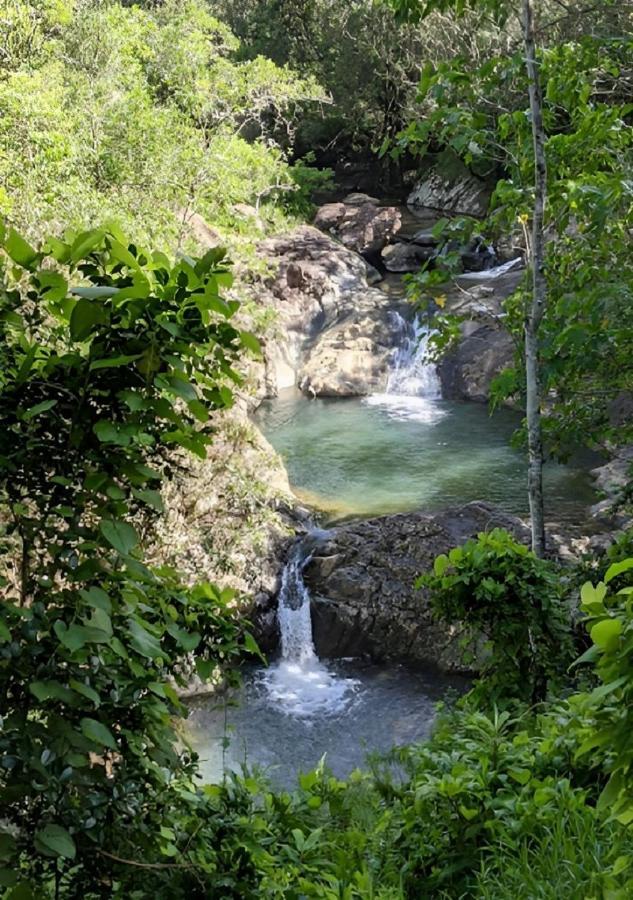 Evasion Bungalow Tropical Spa Sarramea Bagian luar foto