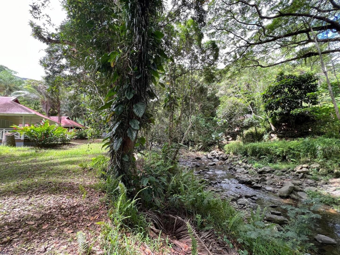 Evasion Bungalow Tropical Spa Sarramea Bagian luar foto