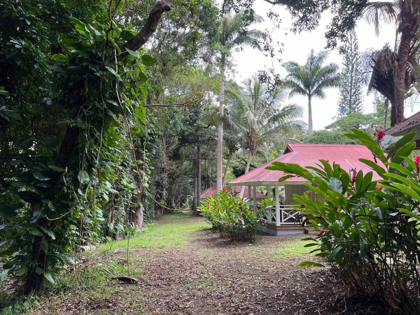 Evasion Bungalow Tropical Spa Sarramea Bagian luar foto